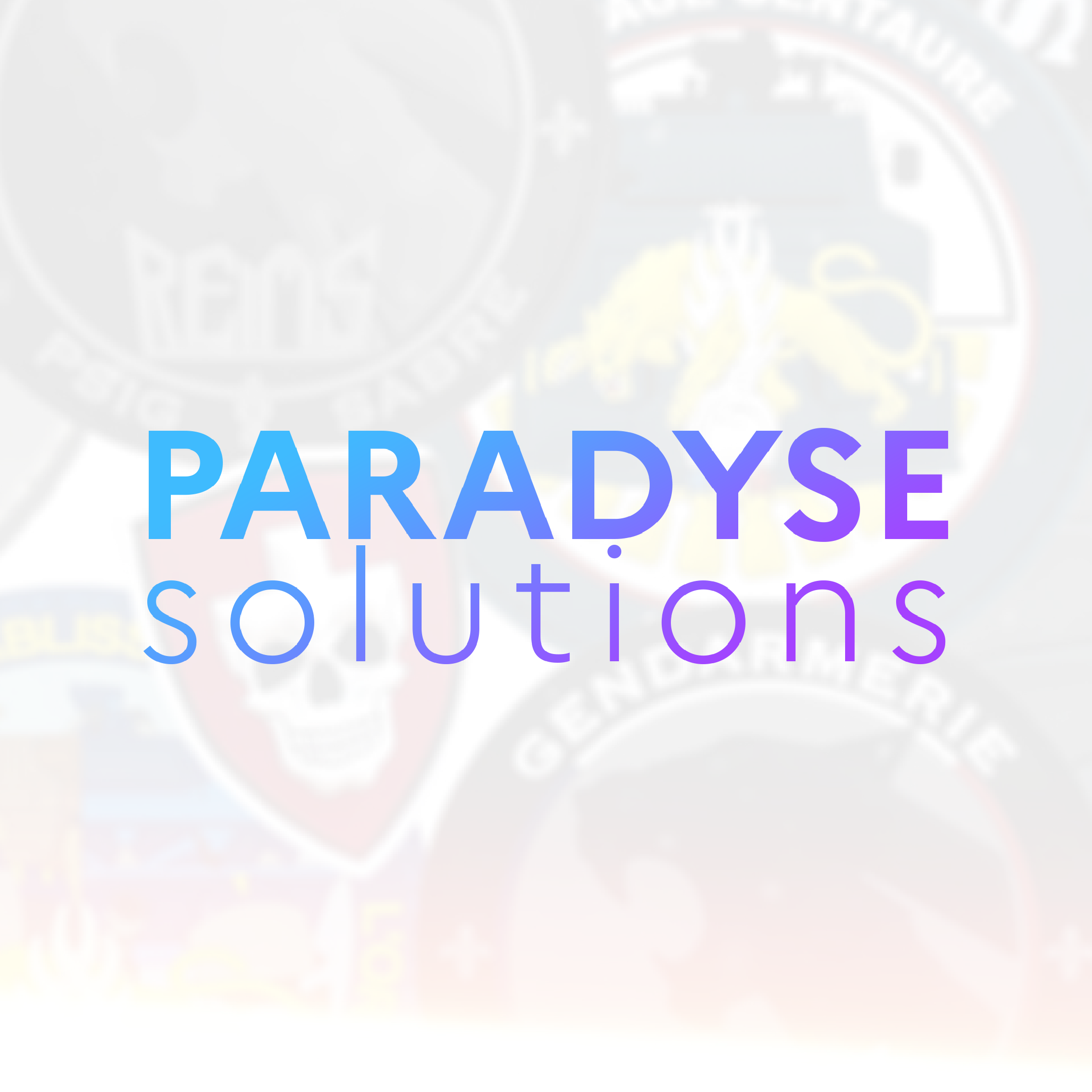 banniere paradyse solutions spring