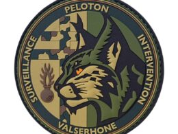 Ecusson BV PSIG Valserhone (kaki)