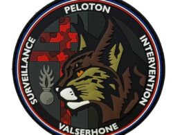 Ecusson PSIG Valserhone