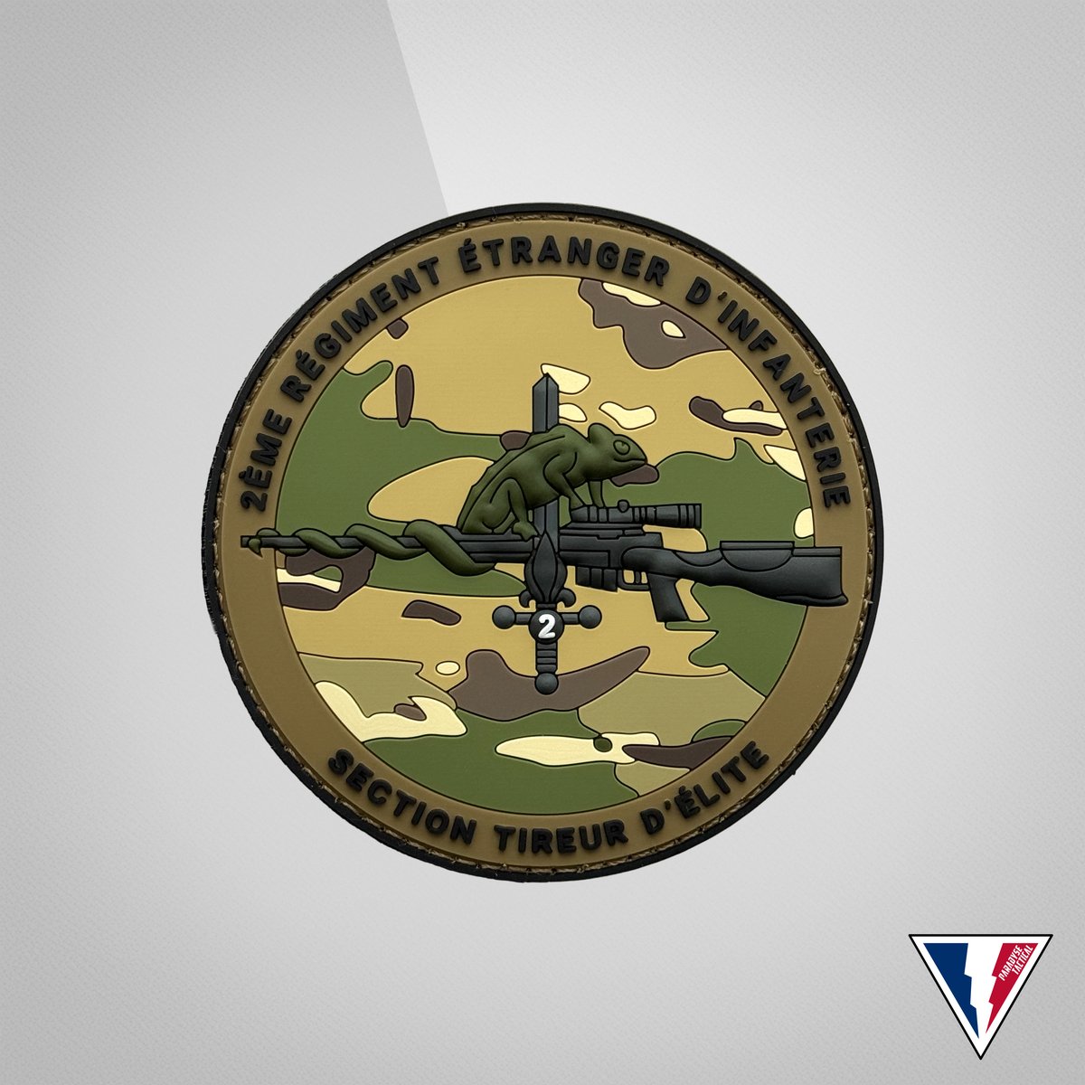 Patch 2e Régiment Étranger d Infanterie STELD, Légion étrangère