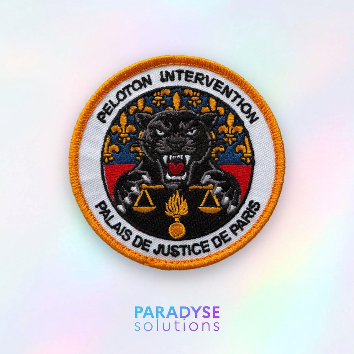 Patch PI PJP, peloton d intervention, sécurité publique