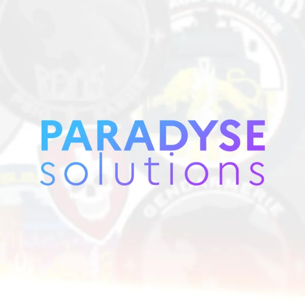 Paradyse Solutions — création de patchs personnalisés